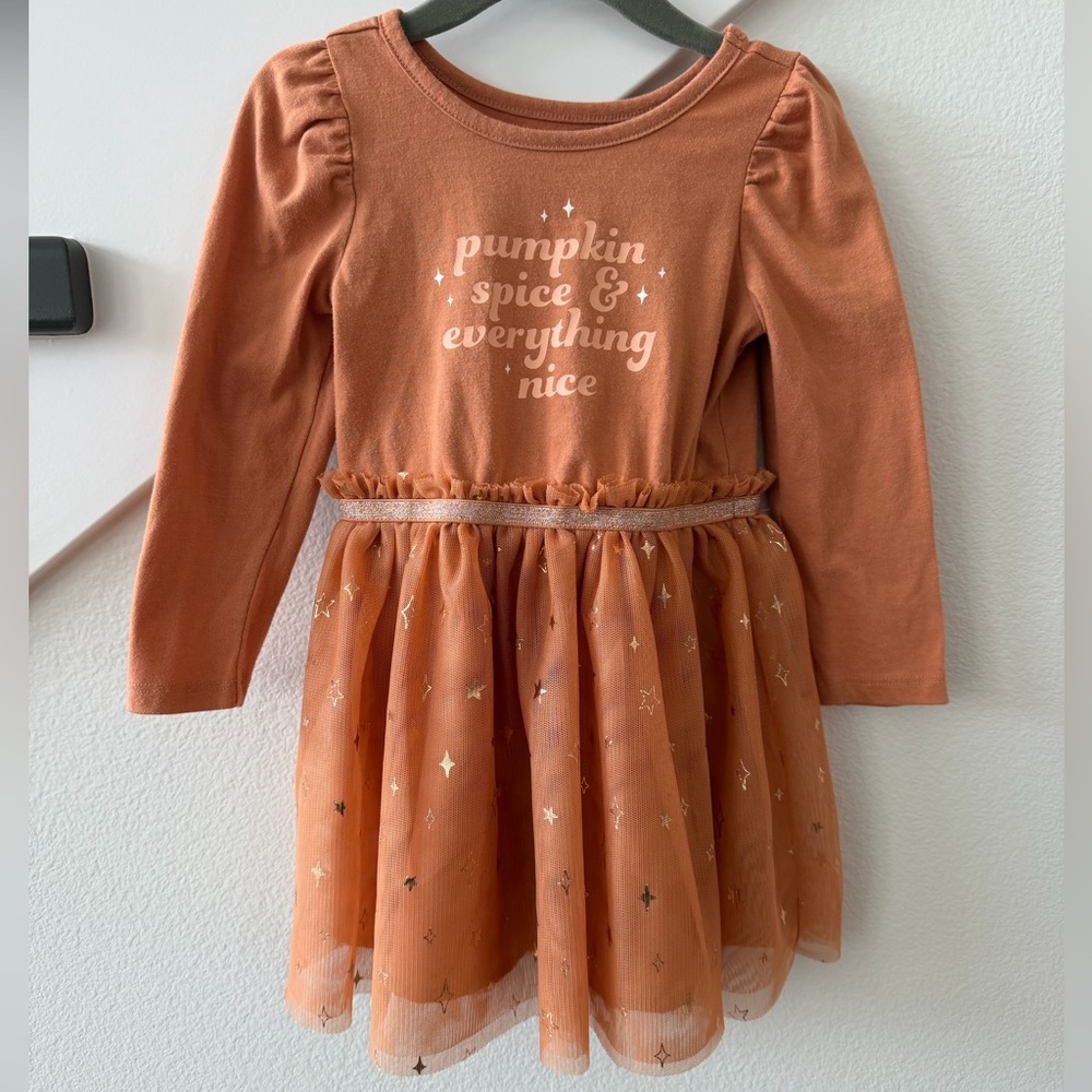 Cat & Jack Pumpkin Spice & Everything Nice Dress